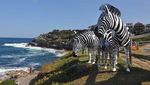 Bondi Beach, Tempat Pameran Patung Digelar di Pesisir Sydney