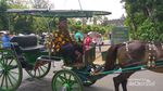 Borobudur, Tak Hanya Cantik Tapi Menarik