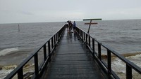 Jembatan kayu ulin di Pantai Sei Bakau