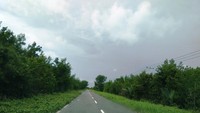 Kera di jalan menuju Pantai Sei Bakau
