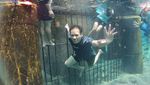 Bosan Snorkeling di Laut? Coba di Air Tawar!