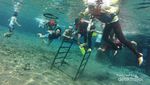Bosan Snorkeling di Laut? Coba di Air Tawar!