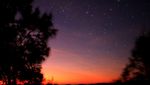 Bromo Punya Bukit Kingkong, Sunrisenya Keren di Sini!