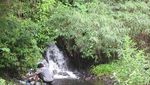 Brr! Segarnya Liburan di Curug Citiis, Garut