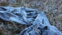 Plastik hitam berselimut es di Ranu Kumbolo