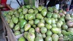 Buah di Dataran Tinggi Gayo, Tak Kalah Segar dengan Brastagi