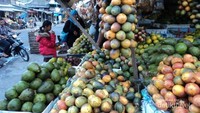 berbagai macam buah-buahan