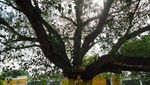 Buddha Tidur dan Pagoda Setinggi 45 Meter di Semarang