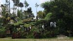 Bukan Bali, Ini Panorama dari Villa di Bogor