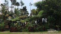 Mushola yang adem di bawah pepohonan yang rimbun dan taman di depannya yang menyejukan