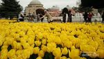 Bukan Belanda, Aslinya Bunga Tulip dari Negara Ini