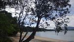 Bukan Berwarna Putih, Pantai di Malaysia Pasirnya Hitam