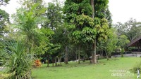 Pohon-pohon yang hijau membuat tempat ini sangat asri