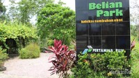 Salah satu sudut kebun raya Balikpapan yang berisi tanaman obat-obatan
