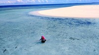 Bermain dengan baby shark di tepi pantai