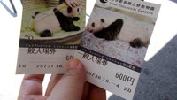 Tiket masuk kebun binatang