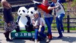 Bukan China, Ini Panda Raksasa di Jepang