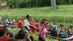 Bukan Cuma Ragunan, Kebun Binatang Juga Ada di Jakarta Utara