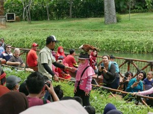 Bukan Cuma Ragunan, Kebun Binatang Juga Ada di Jakarta Utara