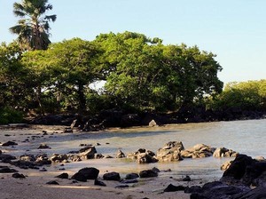 Bukan Cuma Taman Nasional, Baluran Juga Punya Pantai Cantik