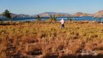 Bukan di Afrika, Ini di Pulau Kenawa NTB