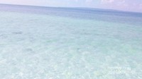 Air laut yang sangat jernih