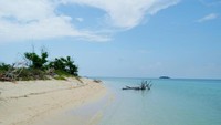 Hasil jepretan keliling pulau