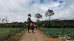 Bukan di Eropa, Lembah Cantik ini Punya Sulsel