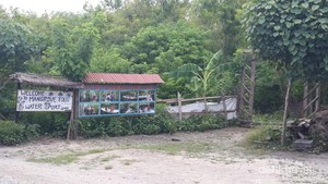 Bukan di Kalimantan, Ini di Bali