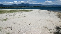 Pantai Pasifik Porsea