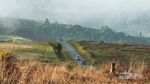 Bukan di Luar Negeri, Ini Savana di Sulawesi Tengah