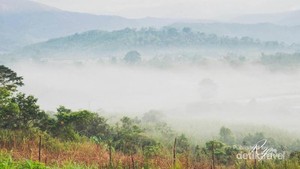 Bukan di Luar Negeri, Ini Savana di Sulawesi Tengah