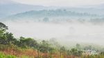 Bukan di Luar Negeri, Ini Savana di Sulawesi Tengah