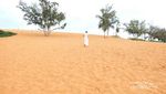 Bukan di Mesir, Padang Pasir Ini di Vietnam