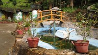 Kolam-kolam ikan