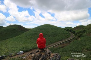 Bukan di Sumba, Ini di Yogyakarta