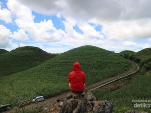 Bukan di Sumba, Ini di Yogyakarta