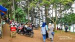 Bukan Kalibiru, Ini Bukit Panembongan di Kuningan