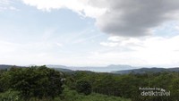 Pemandangan hutan serta Teluk Panjang
