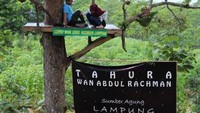 Dibuat di atas pohon durian setinggi 6 meter