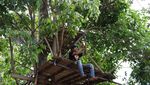 Bukan Kalibiru, Ini Tahura Wan Abdul Rachman di Lampung