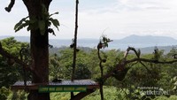 Spot melihat keindahan alam di Tahura Wan Abdul Rachman Lampung