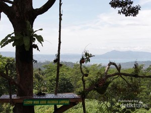Bukan Kalibiru, Ini Tahura Wan Abdul Rachman di Lampung