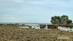 Bukan Karimunjawa, Ini Pulau Cantik Lainnya Dekat Jepara