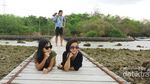 Bukan Karimunjawa, Ini Pulau Cantik Lainnya Dekat Jepara