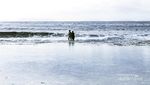 Bukan Korea Selatan, Pantai Jungwok Ini Ada di Yogyakarta