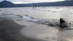 Bukan Laut, Ini Danau Toba Dilihat dari Pantai Parbaba