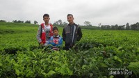 Saudara berfoto di perkebunan teh