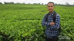Bukan Lembang, Ini Kebun Teh Keren di Sumatera Utara
