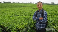 Saya berfoto di perkebunan teh